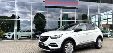 Opel Grandland X 120 Jahre Opel-Automobilbau Sondermodell 2019 Benziner 131 PS Fotos