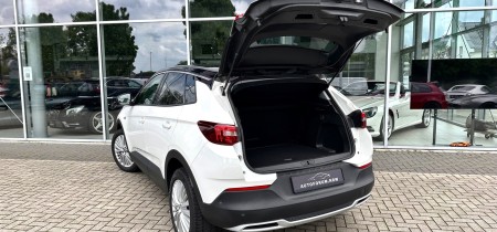 Opel Grandland X 120 Jahre Opel-Automobilbau Sondermodell 2019 Benziner 131 PS Fotos