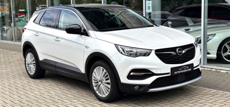Opel Grandland X 120 Jahre Opel-Automobilbau Sondermodell 2019 Benziner 131 PS Fotos