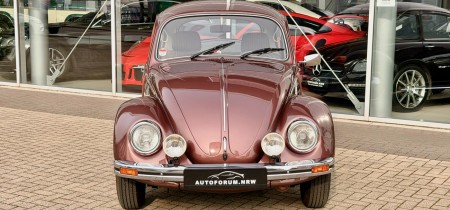 Volkswagen Käfer 1200 L Sondermodell 1983 Mexico restauriert Aubergine 3300km Fotos